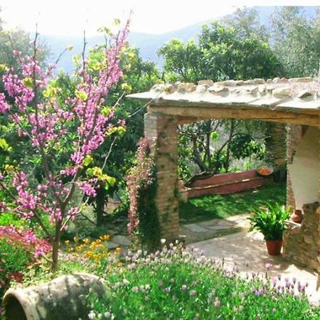 Mountain House Surrounded By Nature Bayacas Ngoại thất bức ảnh