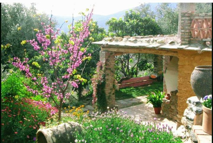 Mountain House Surrounded By Nature Bayacas Ngoại thất bức ảnh